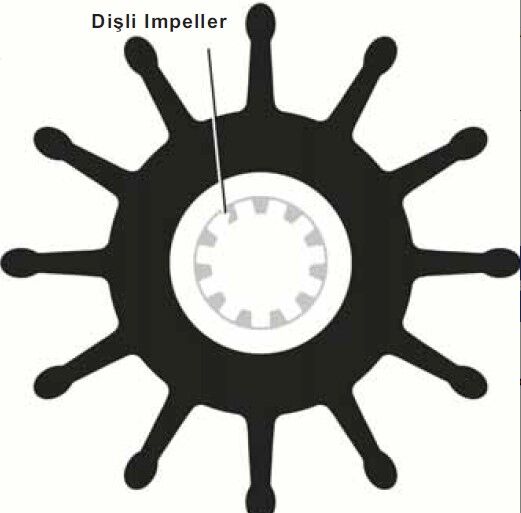 27000K Cummis 3974456 - Cef 500181