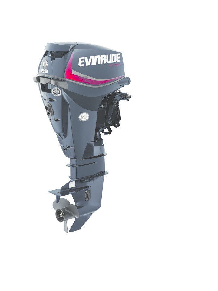 MOTOR G1 E25DPSL/E25DPGL - UZUN ŞAFT MARŞLI TRİMLİ